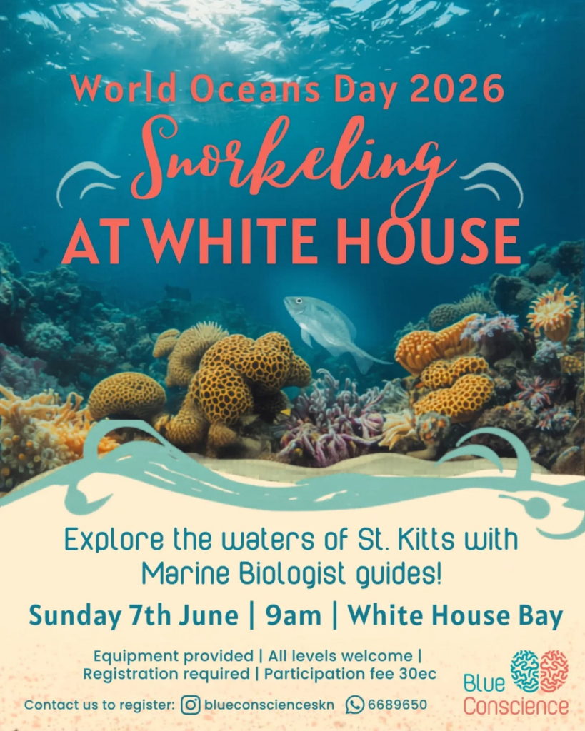 World Oceans Day Snorkeling – St. Kitts