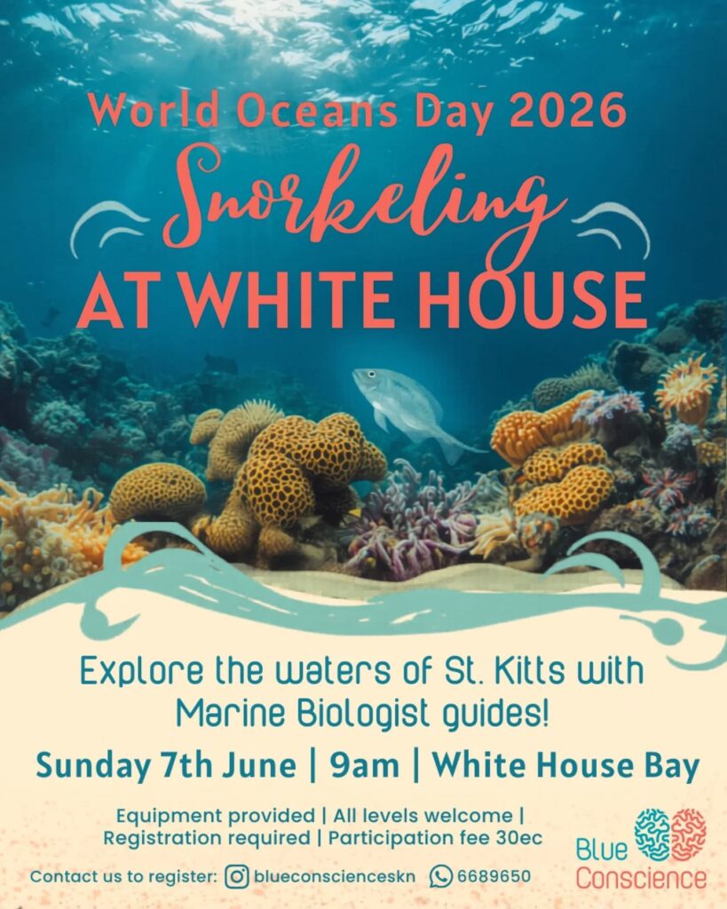 World Oceans Day Snorkeling – St. Kitts
