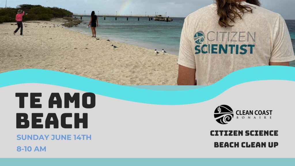 Citizen Science Beach Clean Up – Bonaire