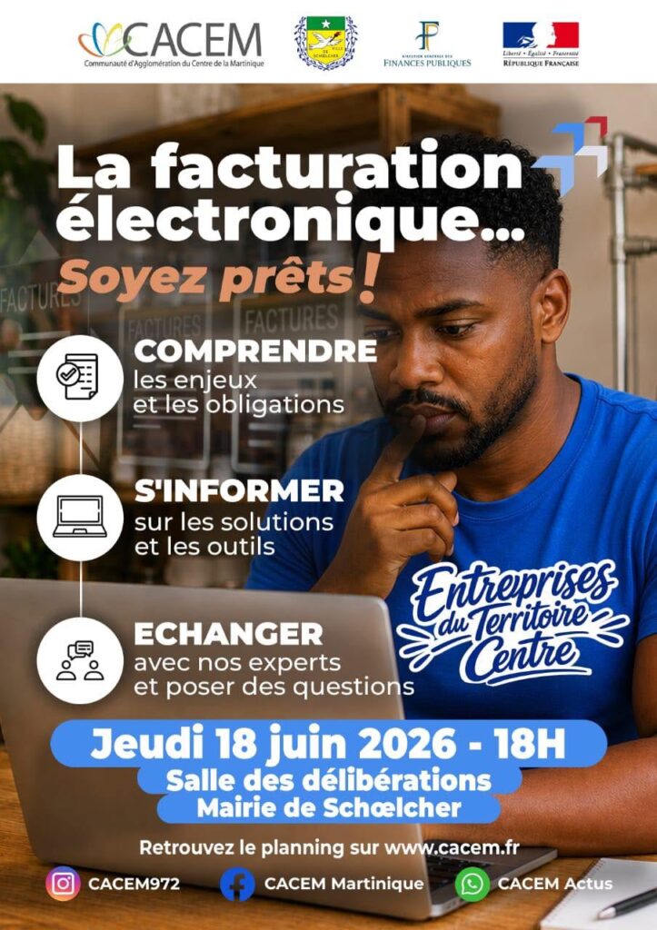 E-Invoicing Training For Businesses – Martinique
