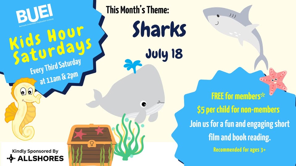 Kids’ Hour Saturday – Sharks – Bermuda